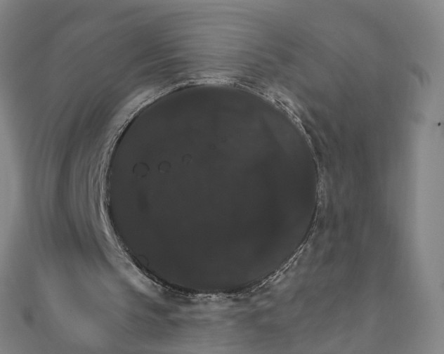 X0000111800145200908201200