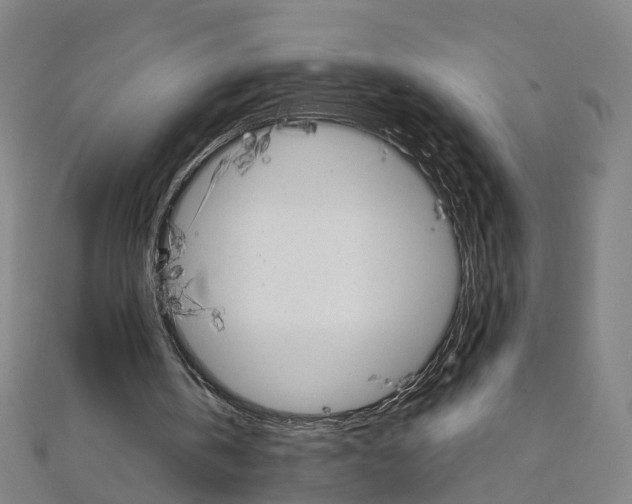 X0000111800146200908201200