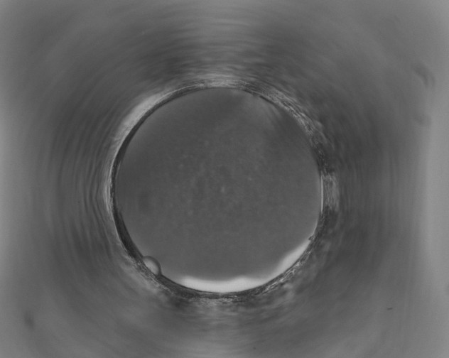 X0000111800147200908201200