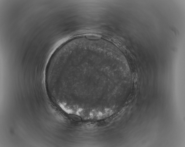 X0000111800148200908201201