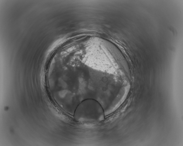 X0000111800149200908201201