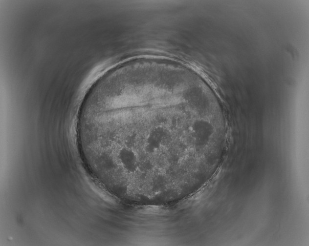 X0000111800151200908201201