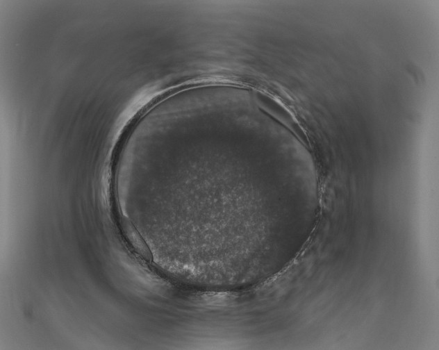 X0000111800152200908201201