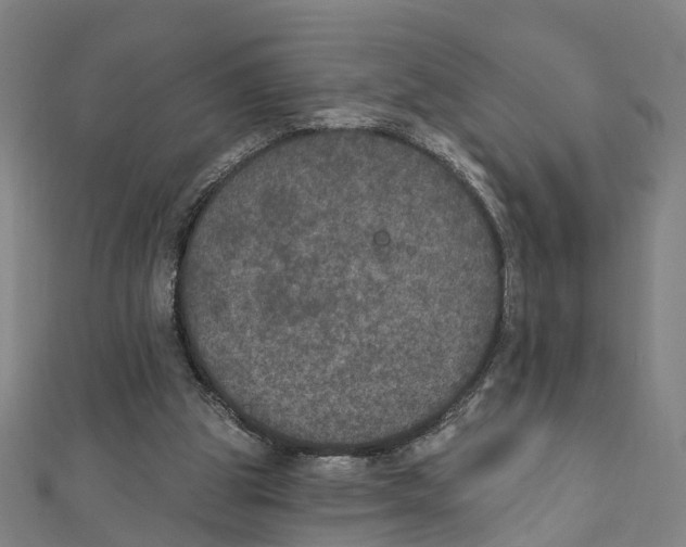 X0000111800153200908201201