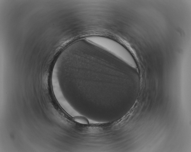 X0000111800154200908201201