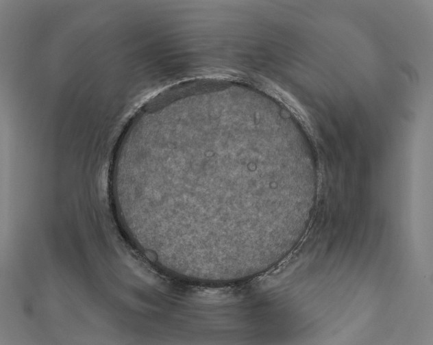 X0000111800155200908201201