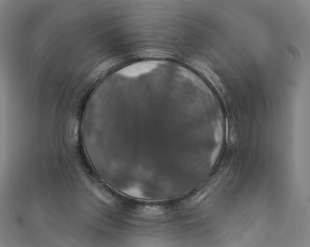 X0000111800157200908201201
