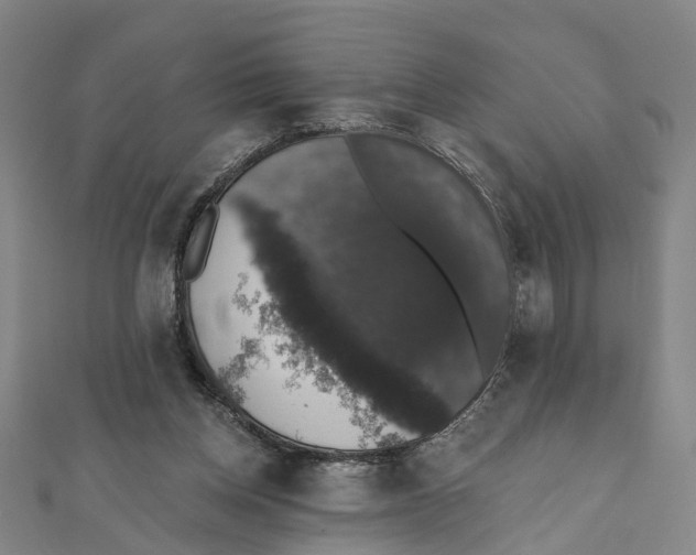 X0000111800158200908201201