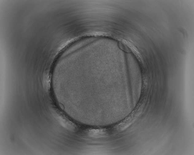 X0000111800160200908201201