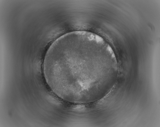 X0000111800162200908201201