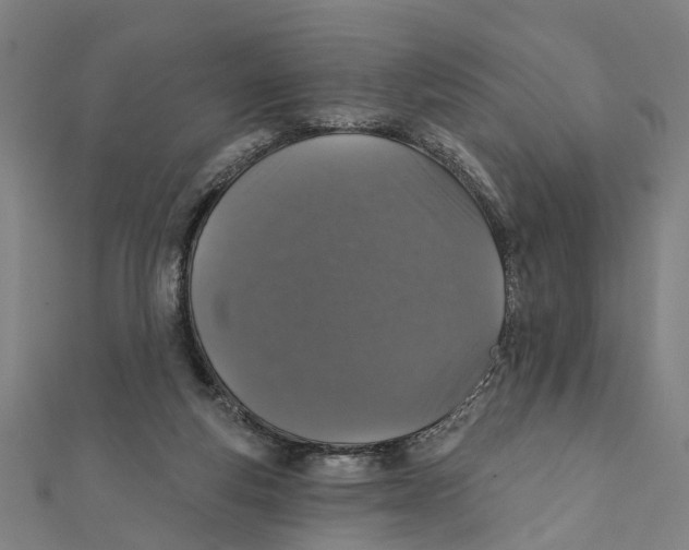 X0000111800163200908201201