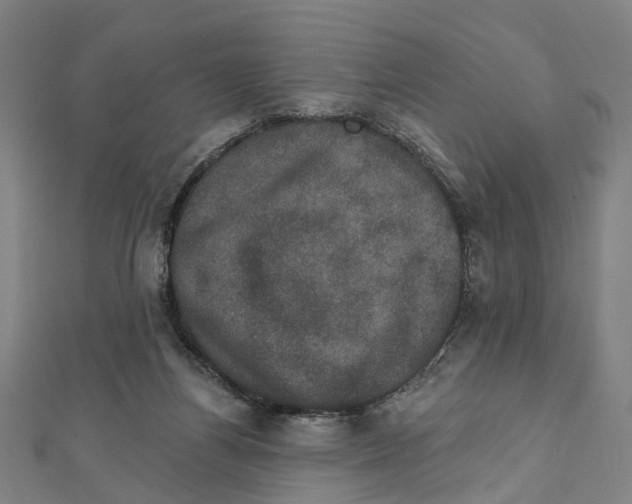 X0000111800164200908201201