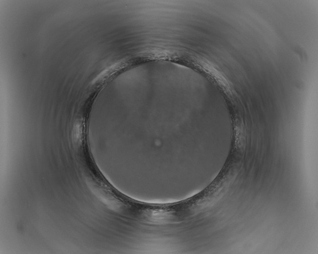 X0000111800165200908201201