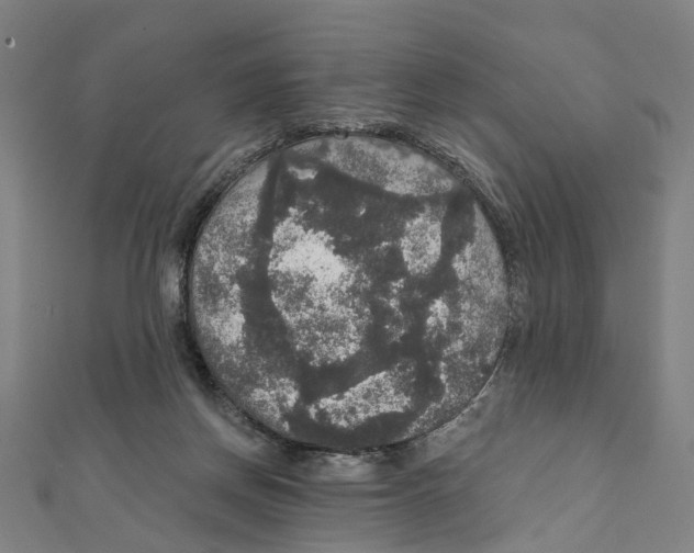 X0000111800166200908201201