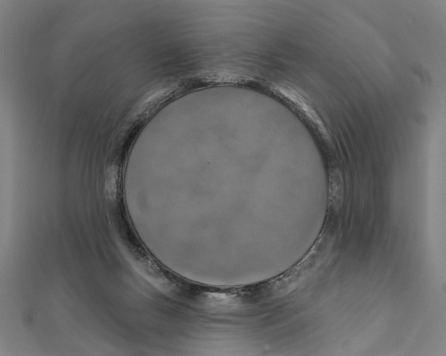 X0000111800167200908201201