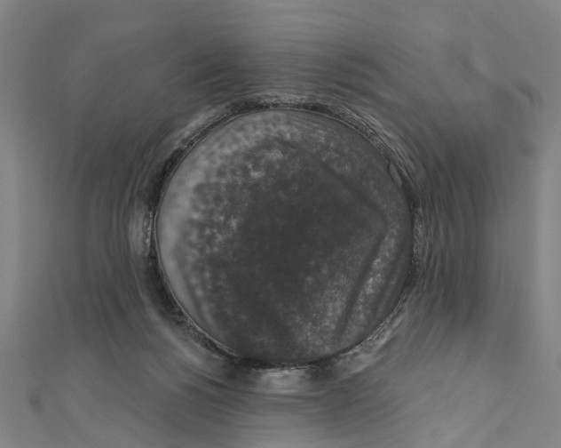 X0000111800168200908201201