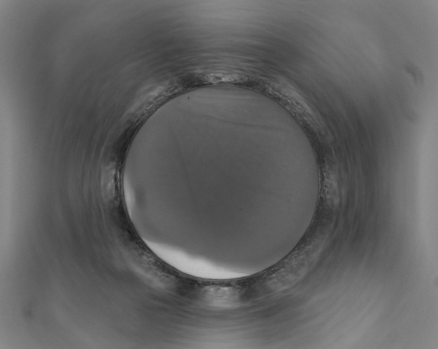 X0000111800169200908201201
