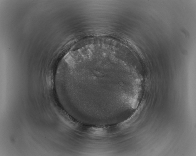 X0000111800170200908201201