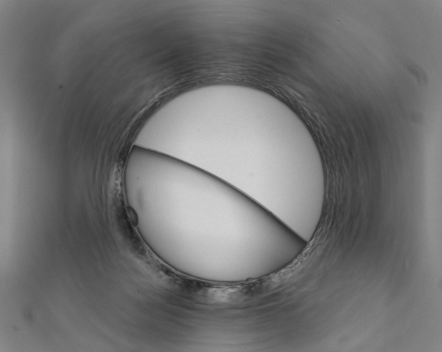 X0000111800172200908201201