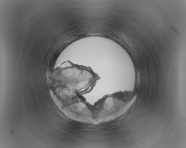 X0000111800173200908201201