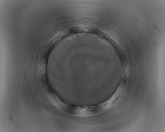 X0000111800174200908201201