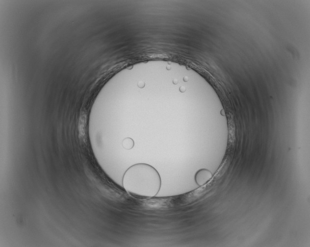 X0000111800175200908201201