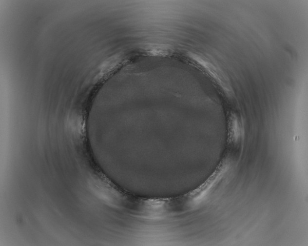 X0000111800176200908201201