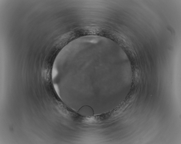 X0000111800177200908201201