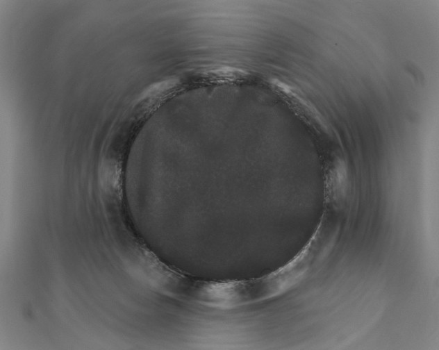 X0000111800178200908201201