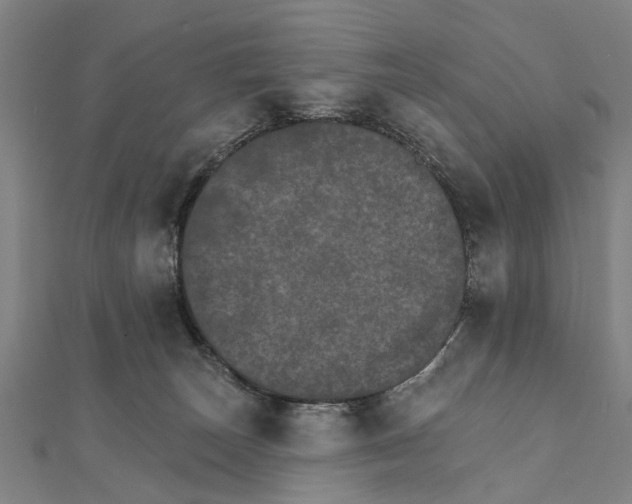 X0000111800179200908201201