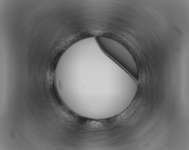X0000111800180200908201201