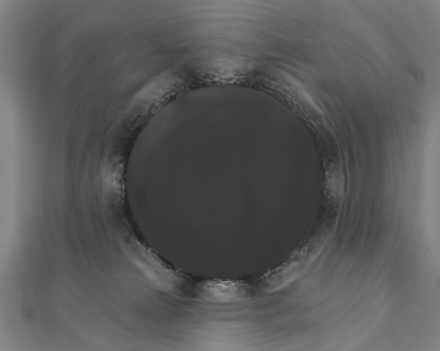 X0000111800181200908201201