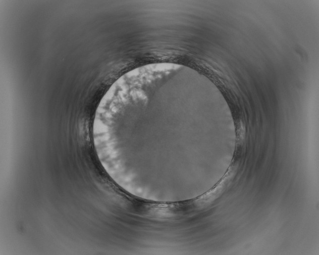 X0000111800182200908201201