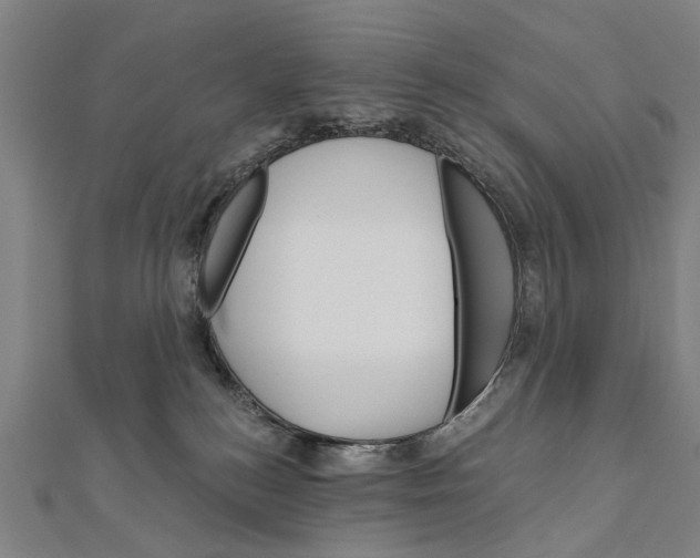 X0000111800184200908201201