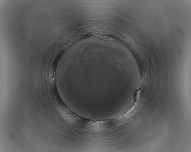 X0000111800186200908201201