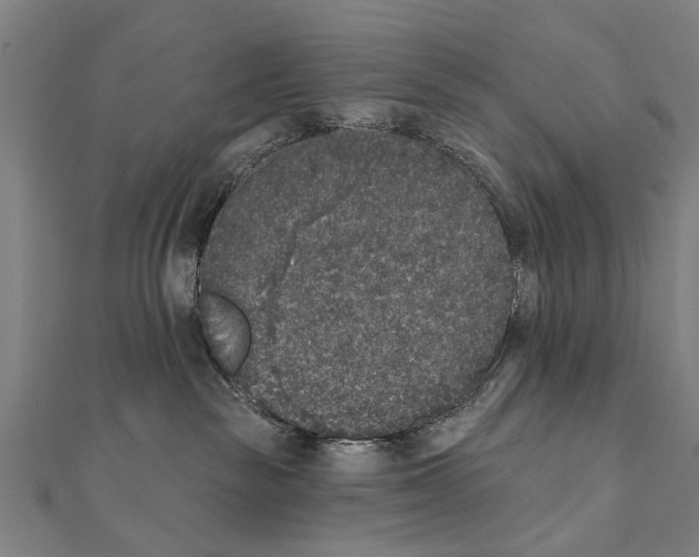 X0000111800189200908201201