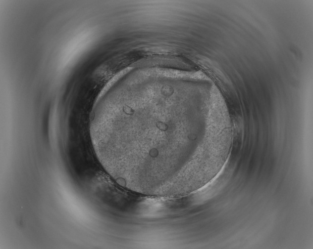 X0000111800190200908201201