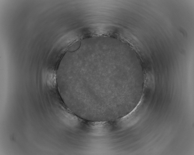 X0000111800191200908201201