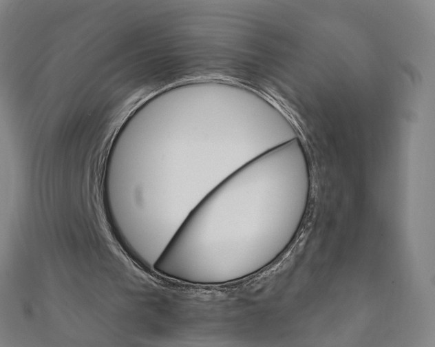 X0000111800193200908201200
