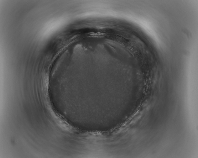 X0000111800194200908201200