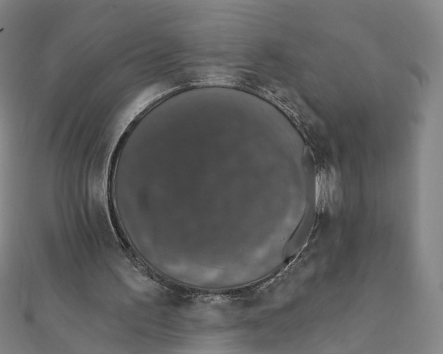 X0000111800195200908201200