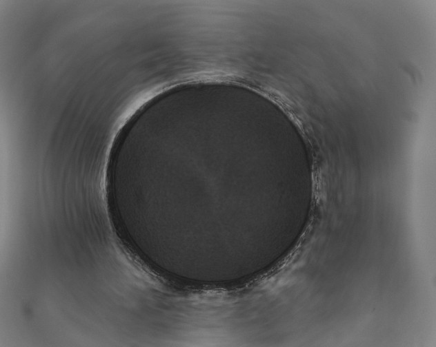 X0000111800196200908201200
