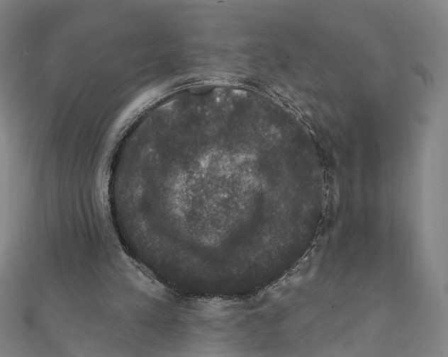 X0000111800197200908201200