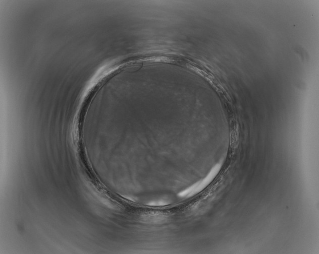 X0000111800198200908201200