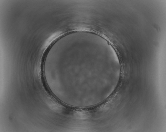 X0000111800199200908201200