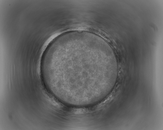 X0000111800200200908201200