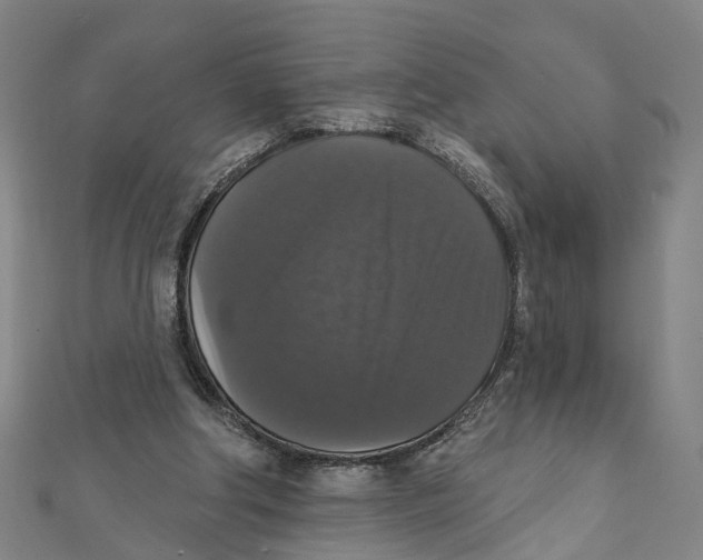 X0000111800202200908201200