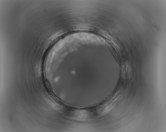 X0000111800203200908201200