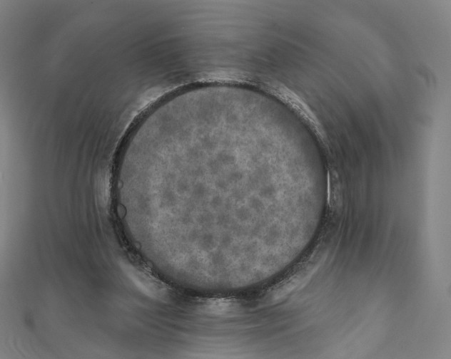 X0000111800204200908201200