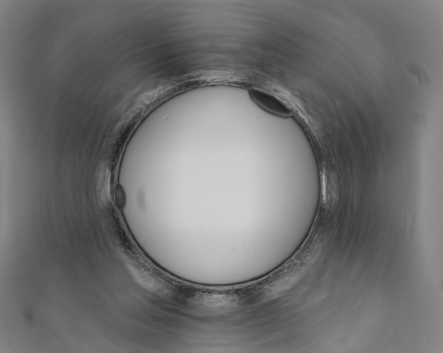 X0000111800205200908201200